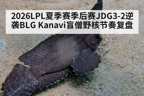 2026LPL夏季赛季后赛JDG3-2逆袭BLG Kanavi盲僧野核节奏复盘 - huatihui