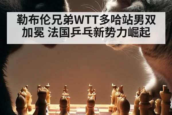 勒布伦兄弟WTT多哈站男双加冕 法国乒乓新势力崛起 - huatihui