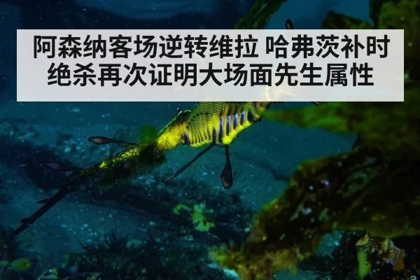 阿森纳客场逆转维拉 哈弗茨补时绝杀再次证明大场面先生属性