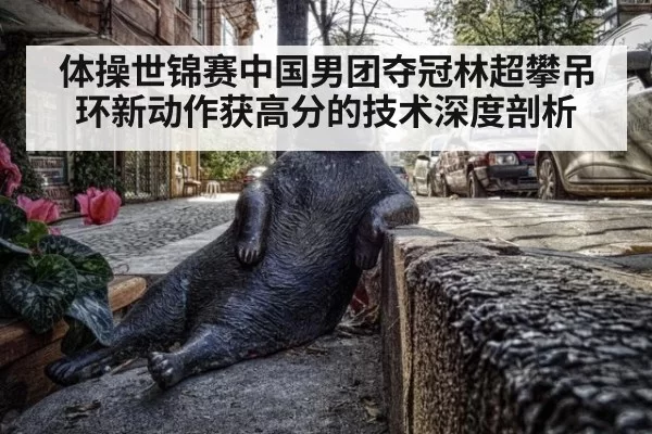 体操世锦赛中国男团夺冠林超攀吊环新动作获高分的技术深度剖析